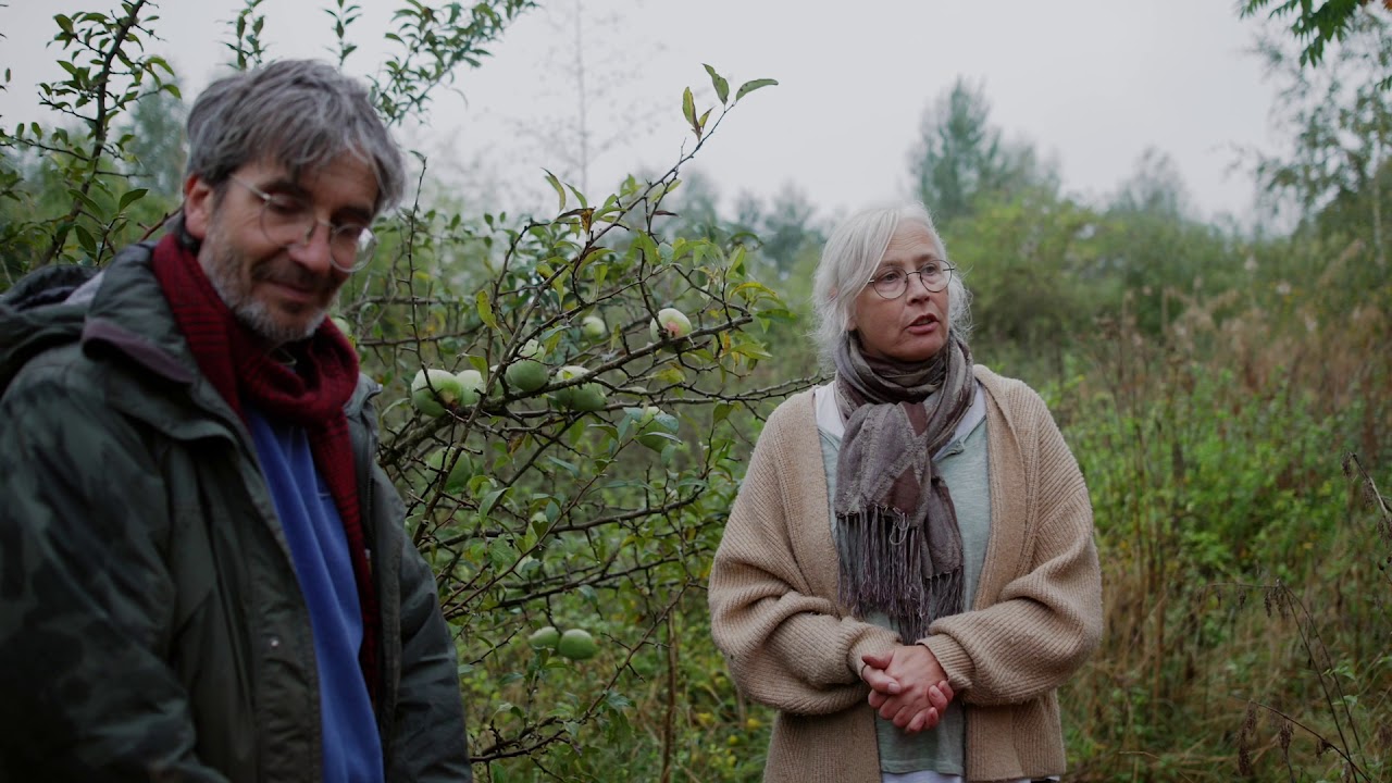 Meet je voedselbosoogsten