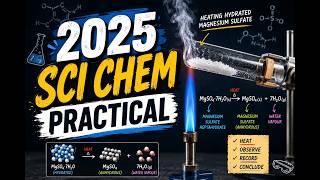 [2025] O Level Sci Chem Practical