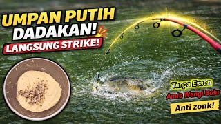UMPAN PUTIH DADAKAN‼️ Tanpa Essen, Langsung Strike Bertubi-tubi 🎣🔥