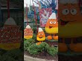 Candy corn at Dollywood for Halloween! 🎃