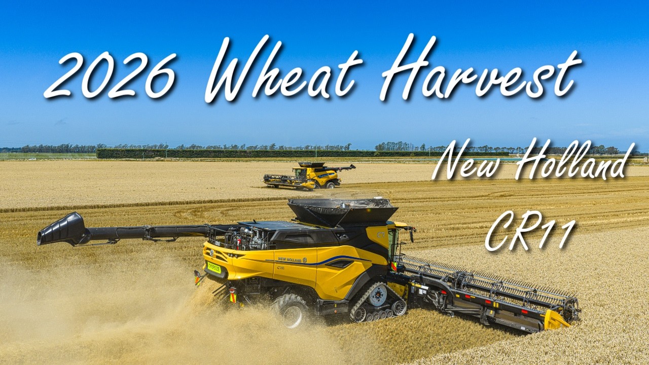 2026 Wheat Harvest with New Holland CR11 at Ashburton, NZ