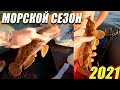 Мегаладон пойман | Просто кайфовое видео:)