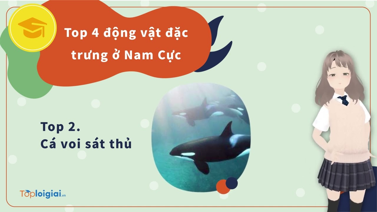 越南教育影片_南極生物