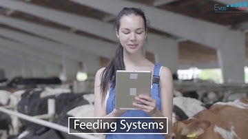 Wireless Backup Internet Connection for Businesses - EvdodepotUSA, a Failover Internet Provider