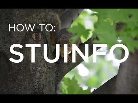 How To: StuInfo