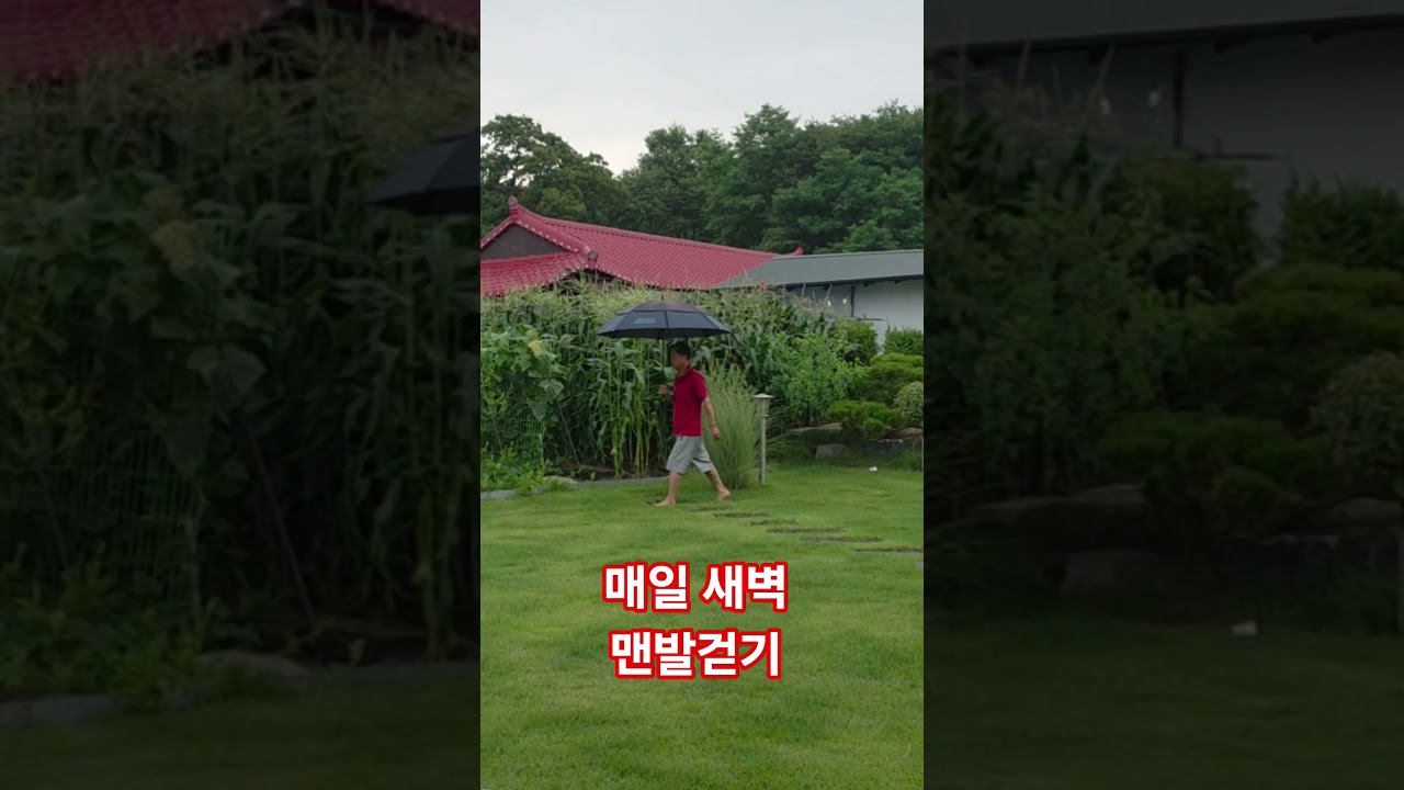 맨발걷기 건강하게 살자