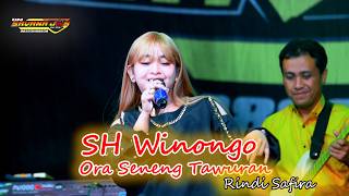 SH WINONGO ORA SENENG TAWURAN RINDI SAFIRA SAVANA JOS LIVE KARE MADIUN MAHKOTA AUDIO AR LIGHTING