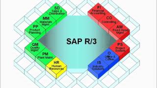 SAP - FI - Financial Accounting - GL - Overview - Part 1