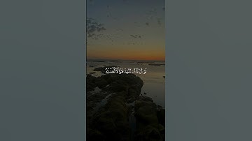 القران الكريم قالوا ياويلنا انا كنا ظالمين #اكسبلور #تلاوة_خاشعة #راحة_نفسية