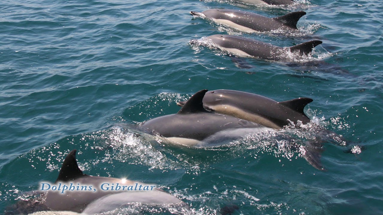 UK Territories Environment Ministers   Isle of Man 2018