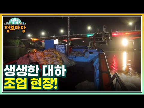 생생한 <strong>대하</strong> 조업 현장! MBN 240925 방송