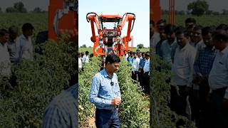#kisan#tomato cutting machine