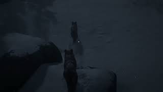 🎵 Bound by the Moon 🎵