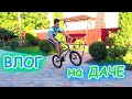 Наши будни на ДАЧЕ Настя собирает малину Саша катается на BMX моем плитку и подстригаем газон ВЛОГ