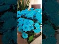 Дарите женщинам цветы