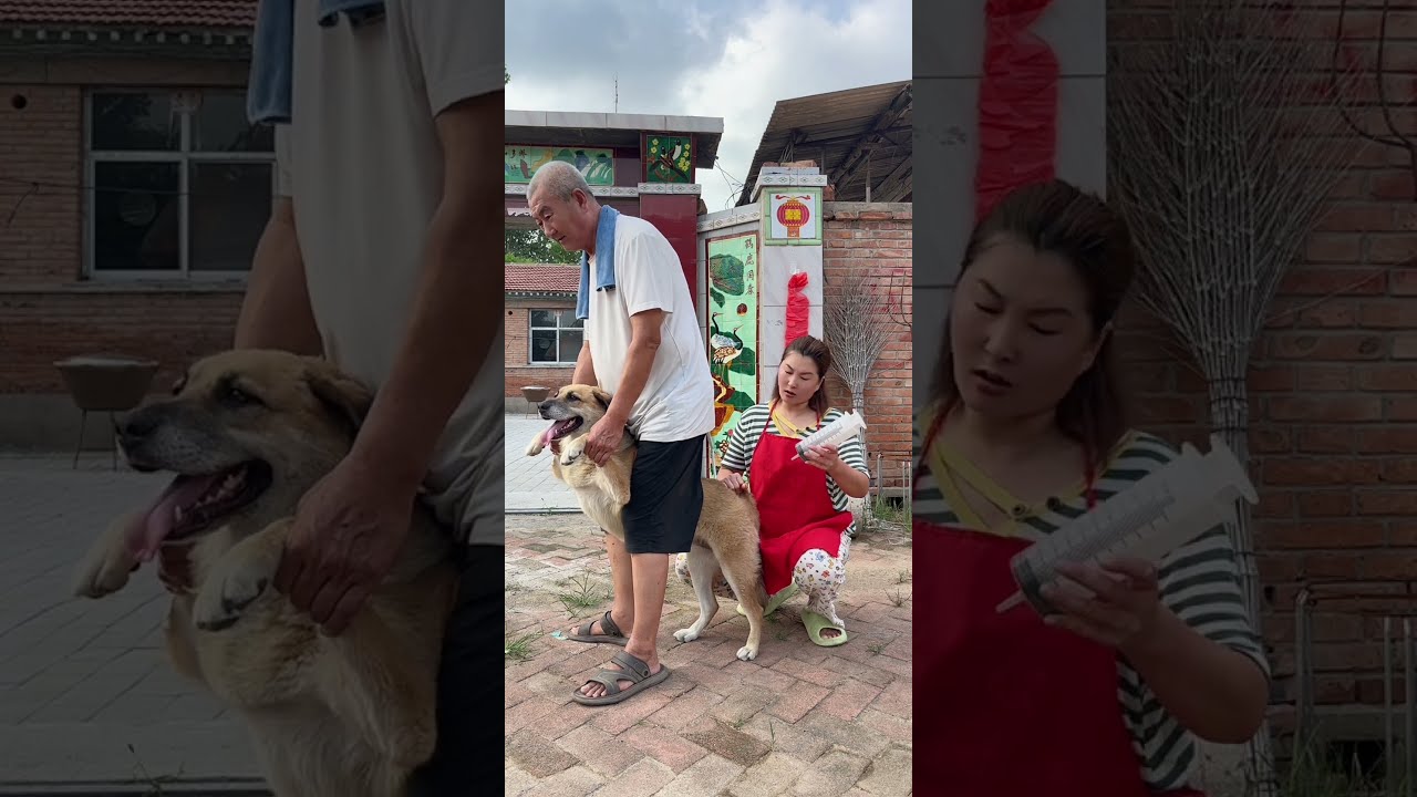 Funny Family Rural Fun Comedy Humor