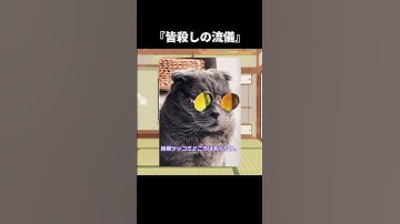 『皆殺しの流儀』【ゆっくり映画雑談】#shorts