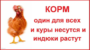 Универсальный корм для ВСЕЙ домашней птицы - результат потрясающий - смотрите сами