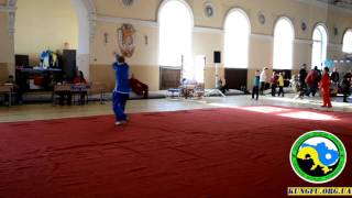 Антон Никонов, Пигуацюань ЧУ 26.03.2016 European Kungfu federation