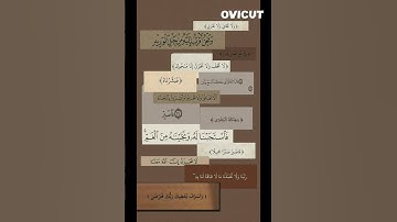 استمع الى تلاوة هادئة تريح القلب