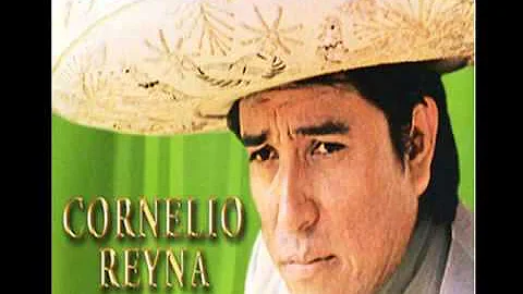 Cornelio Reyna Mix Solo Para Cantineros