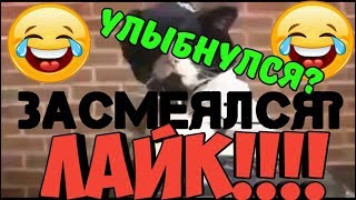 Засмеялся? Улыбнулся?Лайк!!!!!