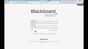 How to Embed Your YouTube Video in Blackboard