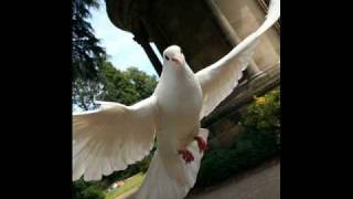 Respighi - Gli Uccelli (The Birds) - (1/2)