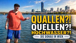 Die Donau in Wien: Von Quallen, Quellen und Hochwasser | Ramis Wiener Eckerl