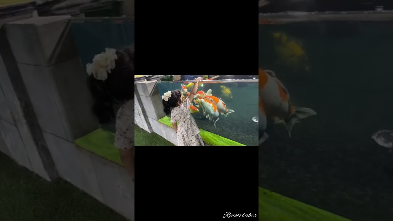 ❤️❤️🐠🐠|