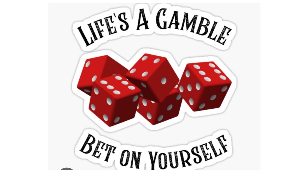 THERES NO TURNING  🔙 NOW!! TAKE A GAMBLE ON YOURSELF!!! 🎲💯🏆