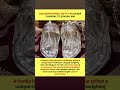1 KG Silver Chappal Gift Goes Viral in Kolhapur 😲 #viral #short
