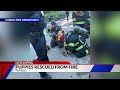 Seven puppies rescued from Pueblo house fire