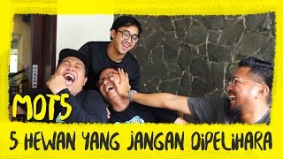 MassDarTube5 - 5 HEWAN YANG SEBAIKNYA JANGAN DIPELIHARA