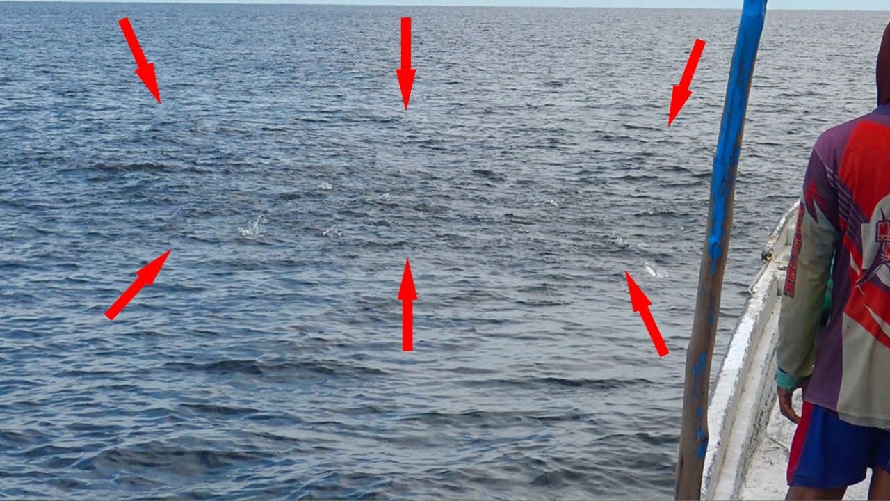 Luar biasa‼️baru tiba di spot langsung di sambut kawanan ikan ini