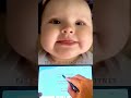 Cutest baby song viral part 2  funny baby  da da da baby viral song