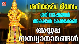 Download Mp3 ശനിയാഴ്ച ദിവസം കേൾക്കേണ്ട അയ്യപ്പ സന്ധ്യാനാമങ്ങൾ | Ayyappa Songs Malayalam | Hindu Devotional Songs Gudang lagu Download Mp3 ശനിയാഴ്ച ദിവസം കേൾക്കേണ്ട അയ്യപ്പ സന്ധ്യാനാമങ്ങൾ | Ayyappa Songs Malayalam | Hindu Devotional Songs