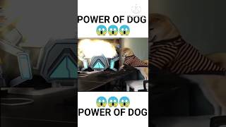 POWER OF DOG 😱😱😱#foryou #foryoubage #freefire #freefirehighlights #funnyshorts #ffshorts