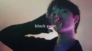 txt ; black swan