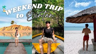 Bintan Travel Vlog: Ultimate Weekend Getaway from Singapore (blue lagoon, sand dunes, mangroves)