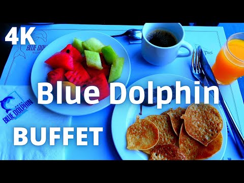 BLUE DOLPHIN CHALKIDIKI