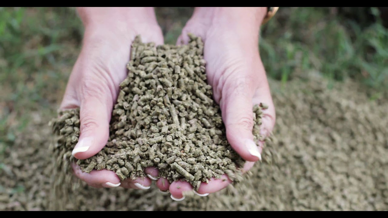 Texas Special Fertilizer - Improve Your Lawn & Garden