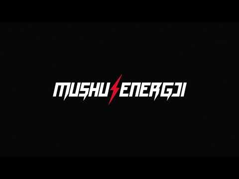 MushuEnergji Go+ mekanizmi i lojes