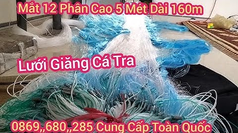 Lưới Cá Tra Lưới Đánh Cá Thái Lan 12 Phân - Cao 5 Mét Dài 160 mét