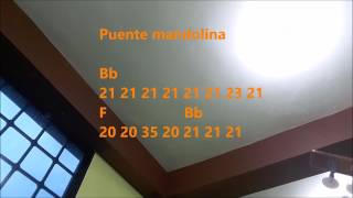 Video thumbnail of "SEÑOR TEN PIEDAD misa panamericana"