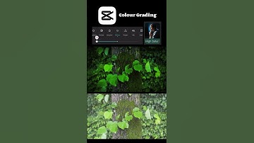 colour grading tip.😉😀 #beautiful #editing #shorts #viralvideo #popular #nature #love 🌿🌿