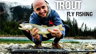 TROUT FLY FISHING in The Alberta's Mountains. SOLO TRIP. Catching BIG Bull Trout