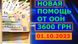 Новая помощь от ООН 3600 грн с 01 октября 2023 года