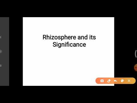 રાઇઝોસ્ફિયર અને તેનું મહત્વ (પર્યાવરણ માઇક્રોબાયોલોજી)