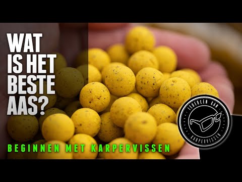 Beginnen met karpervissen: Wat is het beste aas?